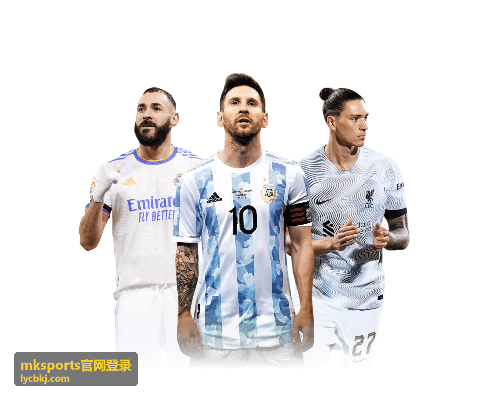 mksports官网登录入口核对步骤示意图