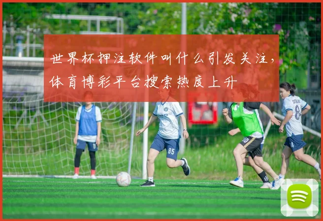世界杯押注软件叫什么引发关注，体育博彩平台搜索热度上升