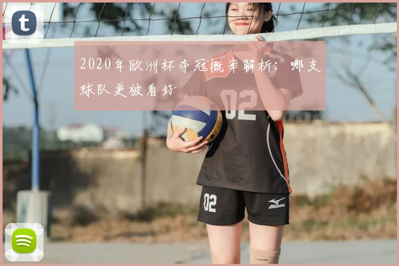 2020年欧洲杯夺冠概率解析:哪支球队更被看好