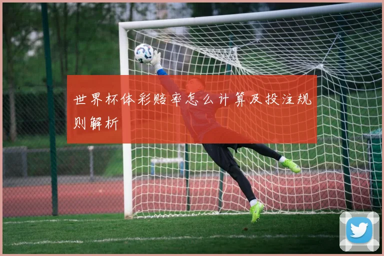世界杯体彩赔率怎么计算及投注规则解析